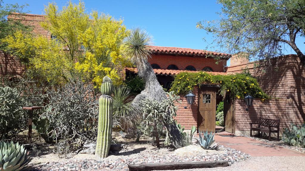Desert Trails Bed & Breakfast Tanque Verde Ngoại thất bức ảnh